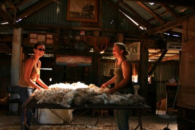 Judith et Moi, nettoyant la laine